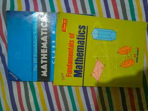 Class VIII Mathematics Books Combo Of 2.