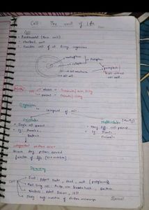 Bio 11th Notes
