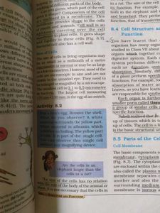 CBSE Class 8 Books - Social Science &amp; Scienc