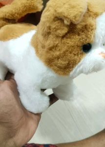 Baby Toy 😺