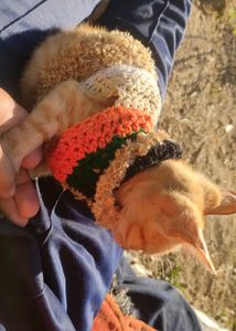 Personalized Handmade crochet sweater for your furry friends🐱🐶