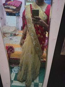 Elegant Red &amp; Gold white net Saree