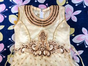 Embroidered Party Dress