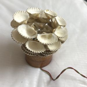 Shell Lamp