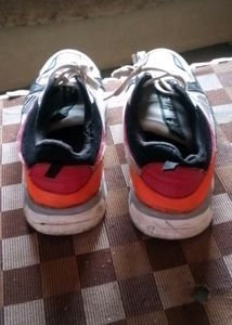 Shooes