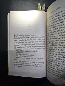Novel