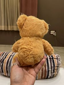 Teddy Bear Collection