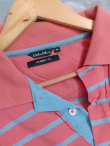 Xl Colour Plus Branded T Shirt