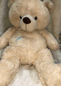 Soft Furrry Off White 🧸 Bear