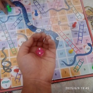 Ludo