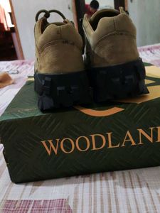 Woodland Camel Hiking boots