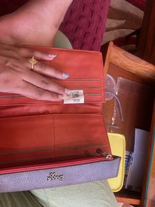 Baggit Purse