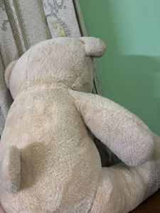TEDDY TOY