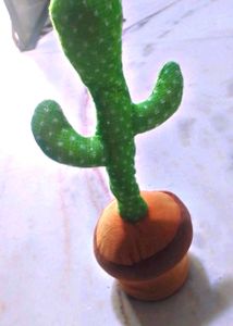 Dancing Cactus 🌵