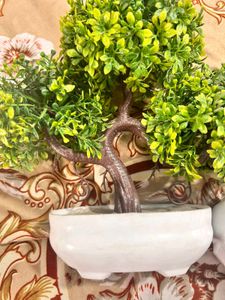 Pack Of 2 Artificial Plant