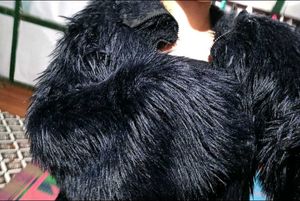 Faux Fur Jacket
