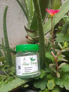 Groovs Aloe Vera Gel