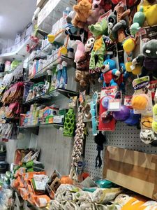 PET SHOP ALL CATEGORIES
