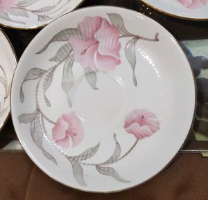 Fine Bone China Plates