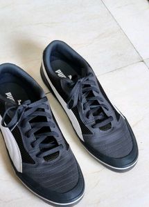 Puma Men Grey Astro Sala Sneaker