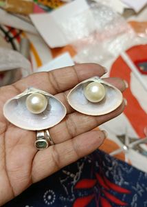 Seashell Stud