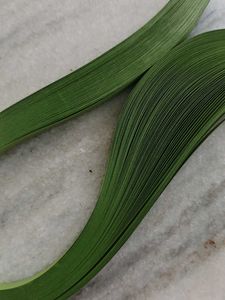 Quilling Strip