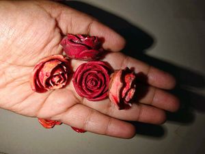 Rose Flower Embellishments