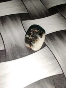 Dalmatian Jasper Stone