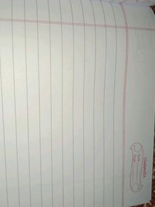 Classmate Notebooks (Set of 2)