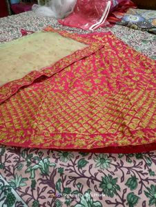 Gorgeous Lehenga Choli