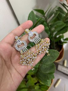 Beautiful Long Earrings