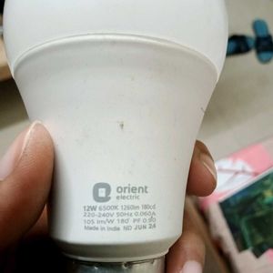 Combo of 3 white light Bulbs