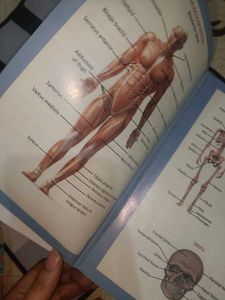 Medical Dictionary