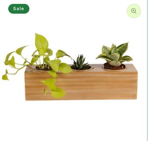 Eco Wood Box Planter