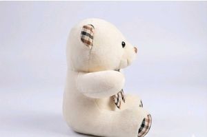 Cute Plush Teddy Bear ( cash preferred)