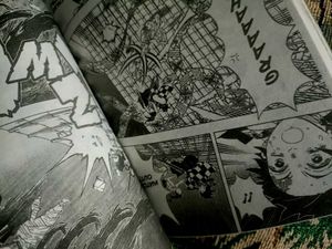 Demon Slayer Vol. 11