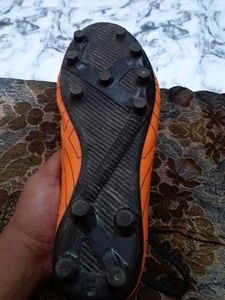 Orange Sport Shoe
