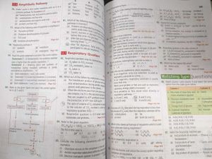 NEET 2024 Edition- Bio class 11&amp;12 - Objective