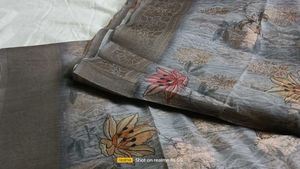 Organza Saree