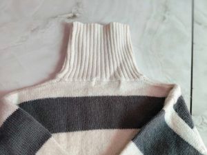 Turtleneck Sweater