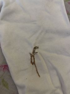 Stylish White Sweater