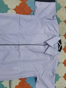Blue Striped Shirt