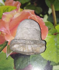 Lord Shiva natural Shivling