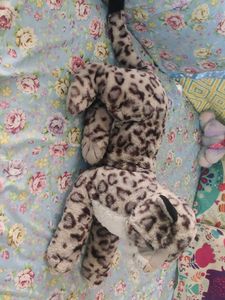 Cute Stuffed Snow Leopard