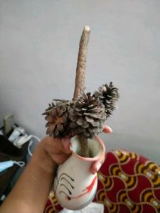 Christmas Tree Pine Cone