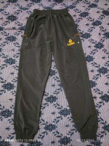 Casual Pants / joggers