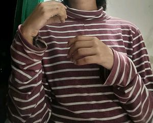 Striped Turtleneck Top