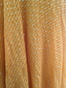 Elegant Ethnic Gown