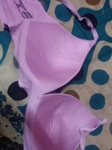 Branded Kensie Bra