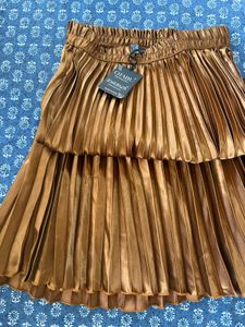 Bronze Pleated Skirt